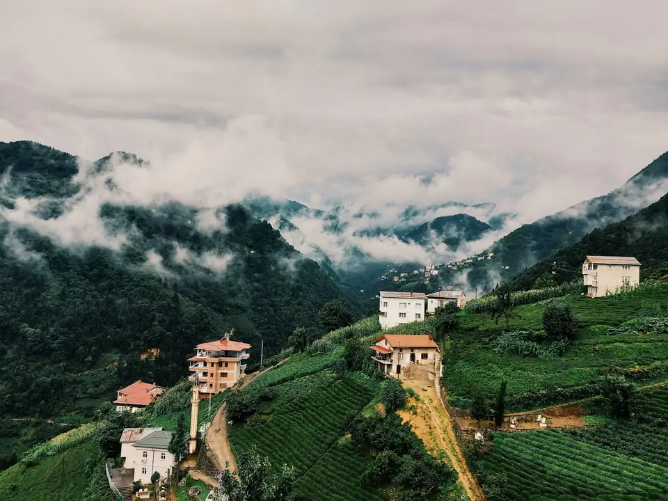 Trabzon'da sisli yeşil yamaçlar
